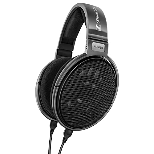 Sennheiser Consumer Audio HD 650 - Audiophile Hi-Res Open Back Dynamic Headphone, Titan