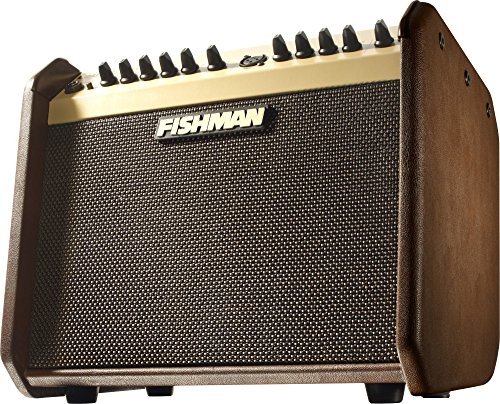 Fishman Loudbox Mini 60W Acoustic Instrument Amplifier