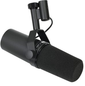 Best Dynamic Microphone Under 100 [2023 Review]