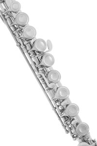 Lazarro Professional Silver Nickel Closed Hole C Flute [2022 Review]