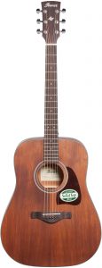 Ibanez AW54OPN Artwood Acoustic Guitar [2022 Review]