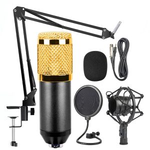 BM-800 Condenser Microphone [2023 Review]