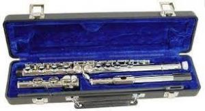 Hisonic Signature Series 2810N Flute [2023 Review]