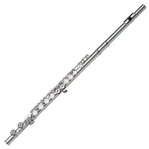 Gemeinhardt 2SP Flute [2023 Review]